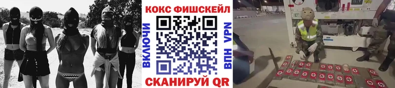 Кокаин Эквадор Дубна