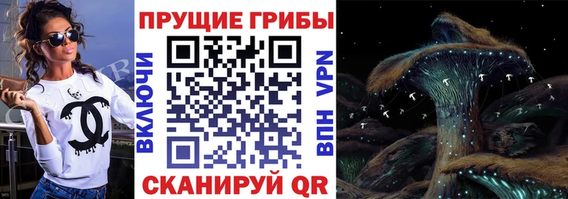 мега зеркало Дубна Галлюциногенные грибы Magic Shrooms