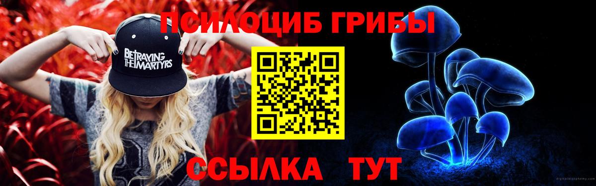 Галлюциногенные грибы Magic Shrooms  Псилоцибиновые грибы MAGIC MUSHROOMS  Вход с VPN  Дубна 